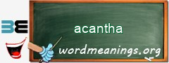 WordMeaning blackboard for acantha